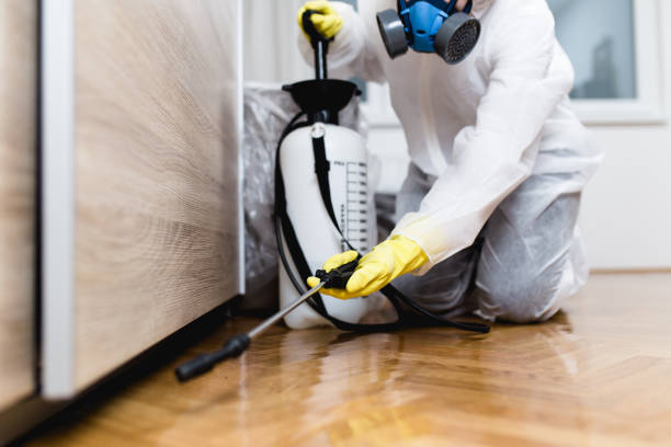 Best Cockroach Control Services  in Sacaton, AZ