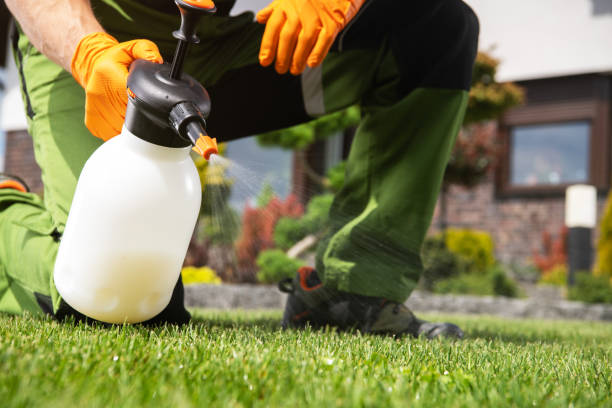 Best Wasp Removal Services  in Sacaton, AZ