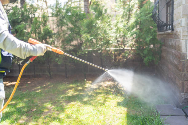 Best Pest Prevention Services  in Sacaton, AZ