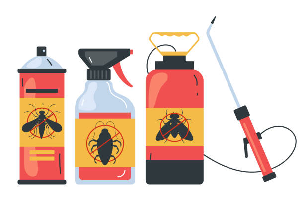 Best Bed Bug Extermination  in Sacaton, AZ