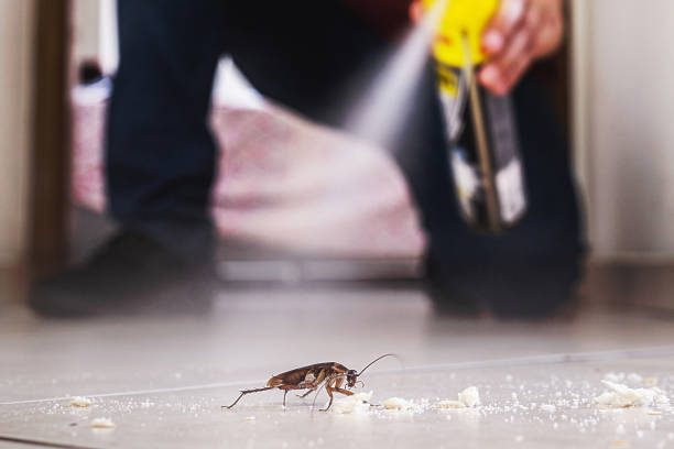 Trusted Sacaton, AZ Pest Control Experts