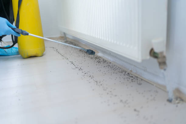 Best Residential Pest Control  in Sacaton, AZ